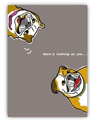 Birthday: Two English Bulldogs