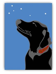 Blank Inside: Black Lab & Stars