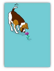 Birthday: Beagle & Flower