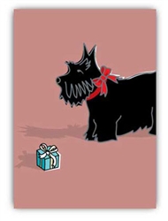Birthday: Scottie & Present