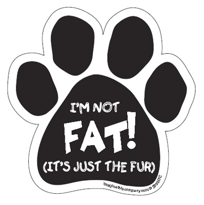 Not Fat (It's just the Fur) Paw Magnets