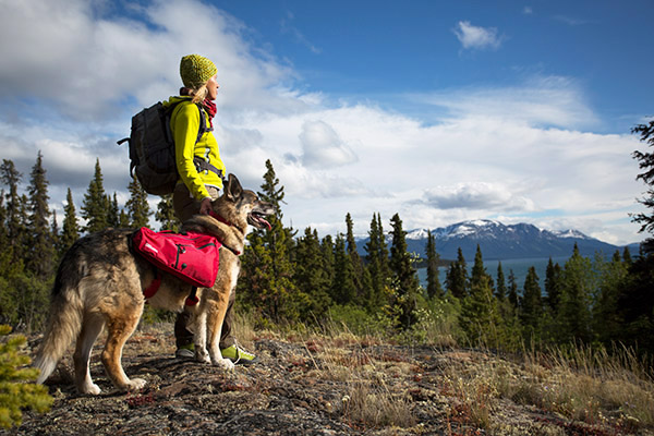 dog trail pack