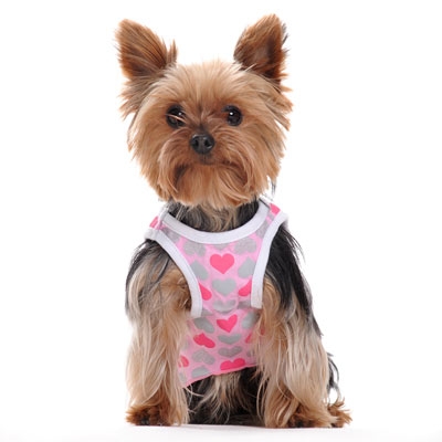 Shimmery Heart Dress