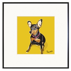 Framed Print: Miniature Pinscher Sitting
