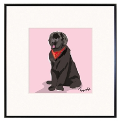 Framed Print: Newfoundland Sitting