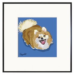 Framed Print: Pomeranian Looking Up