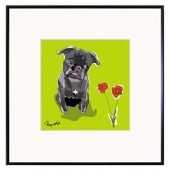 Framed Print: Pug - Black & Flower