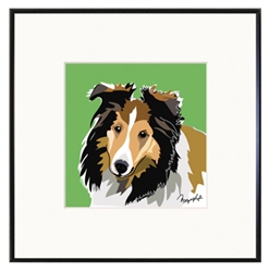 Framed Print: Sheltie