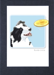 Border Collie W/ Frizby - Grrreen Boxed Note Cards