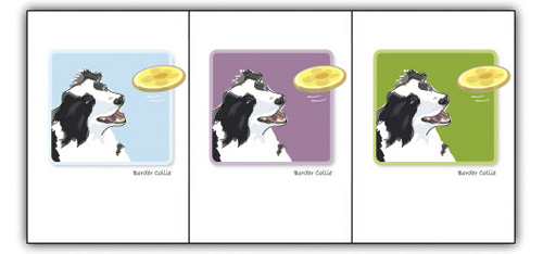 Border Collie W/ Frizby - Grrreen Boxed Note Cards
