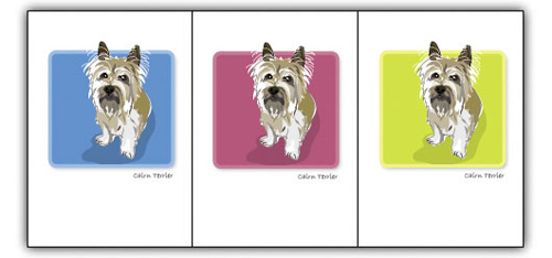 Cairn Terrier, Tan - Grrreen Boxed Note Cards