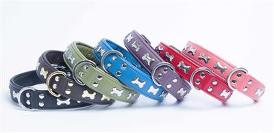 Rotterdam Bones Collar