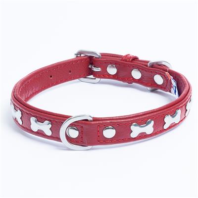 Rotterdam Bones Collar