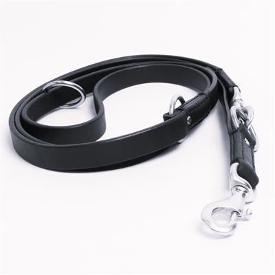 Multi-Function Leash