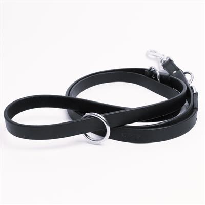 Multi-Function Leash