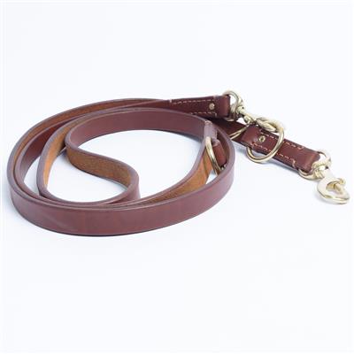 Multi-Function Leash