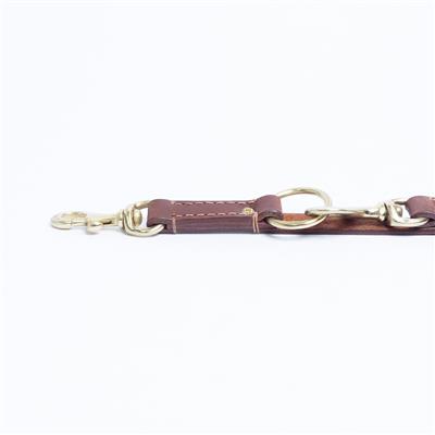 Multi-Function Leash