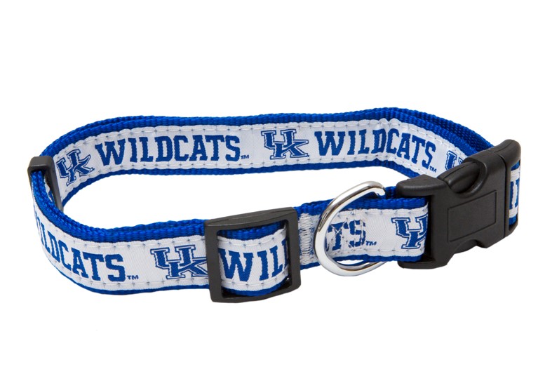 Kentucky Wildcats Dog Collar