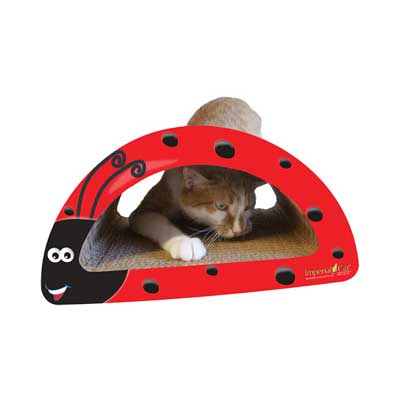 Scratch 'n Shapes Lady Bug (2-in-1) Scratcher