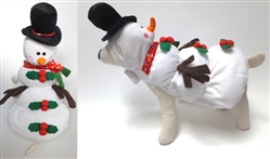 Snowman Costume