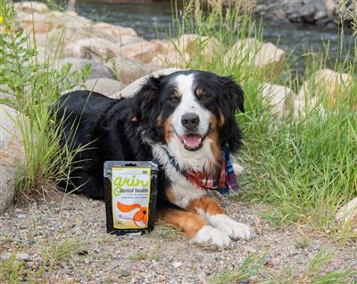 Grin® Canine Dental Health - 4 oz.