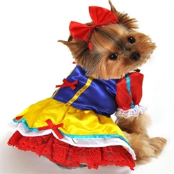 Enchanted Snow Princess Dog Costume