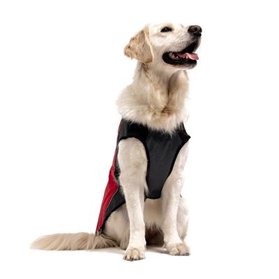 EzyDog Element Jacket