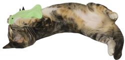 Extra Product Image