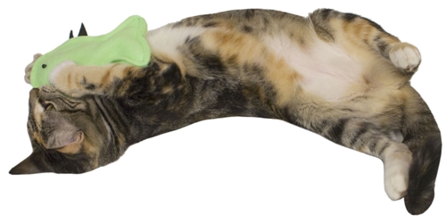 Fins Catnip Toy