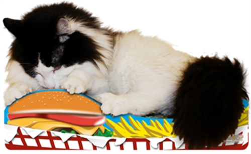 Burger n' Fries Scratch 'n Shape