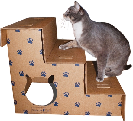 Play 'n Step Pet Steps