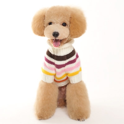 Colorful Stripes Sweater - Pink