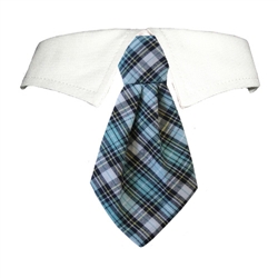 James Shirt Collar