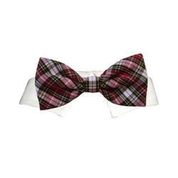 Jeremy Bow Tie Collar