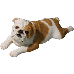 Sandicast Original Size Fawn Bulldog