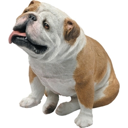 Sandicast Original Size Fawn Bulldog