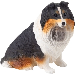 Sandicast Small Size Tri Shetland Sheepdog