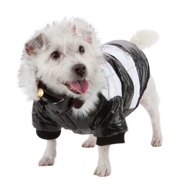 thinsulate dog coat