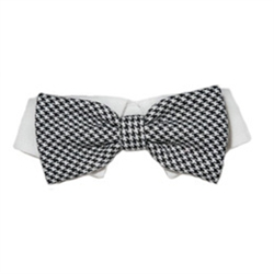 Bow Tie Collar -  Michael