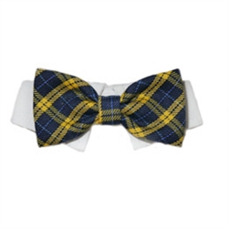 Bow Tie Collar -  Bruce