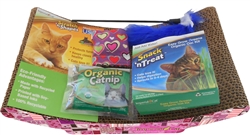 Valentine Kitten Gift Set