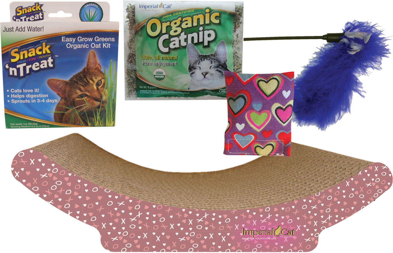 Valentine Kitten Gift Set