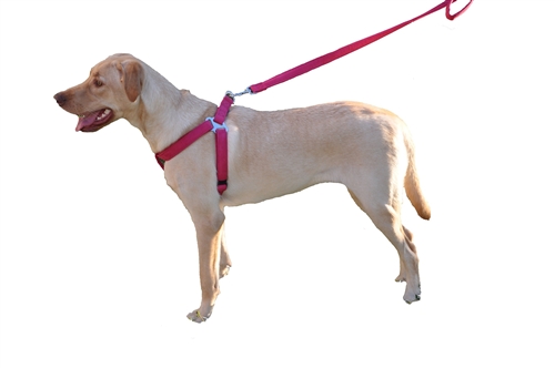  Dogline Comfort Microfiber Flat Step-In Harness