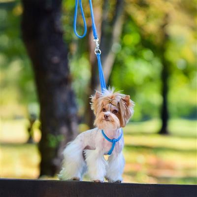Soft Leather Round Step-In Harness + Round Lead
