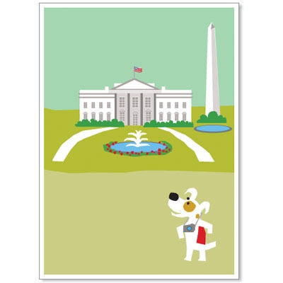 DC, White House - Rocket Launch Greeting Cards