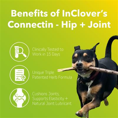 Canine Connectin® Soft Chews: 300 ct. | FAST All-In-One Joint Support