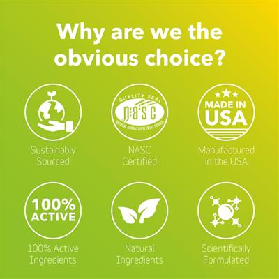 Canine Connectin® Soft Chews: 300 ct. | FAST All-In-One Joint Support