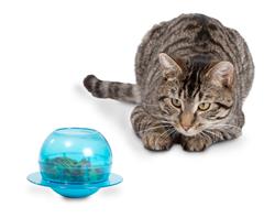 Extra Product Image