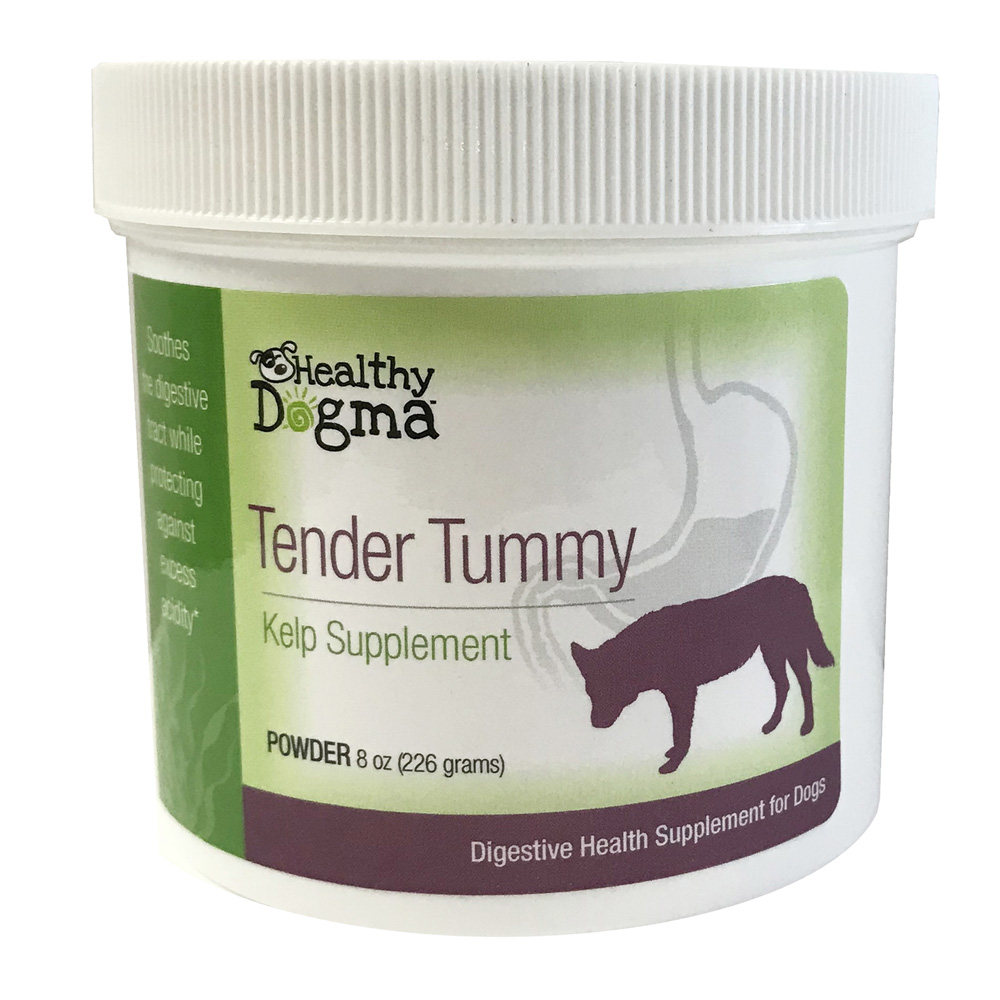 Tender Tummy Digestive Health Supplement for Dogs by Healthy Dogma