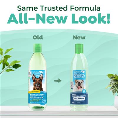 TropiClean Fresh Breath Dental Water Additive Plus Gut Health for Dogs, 16oz